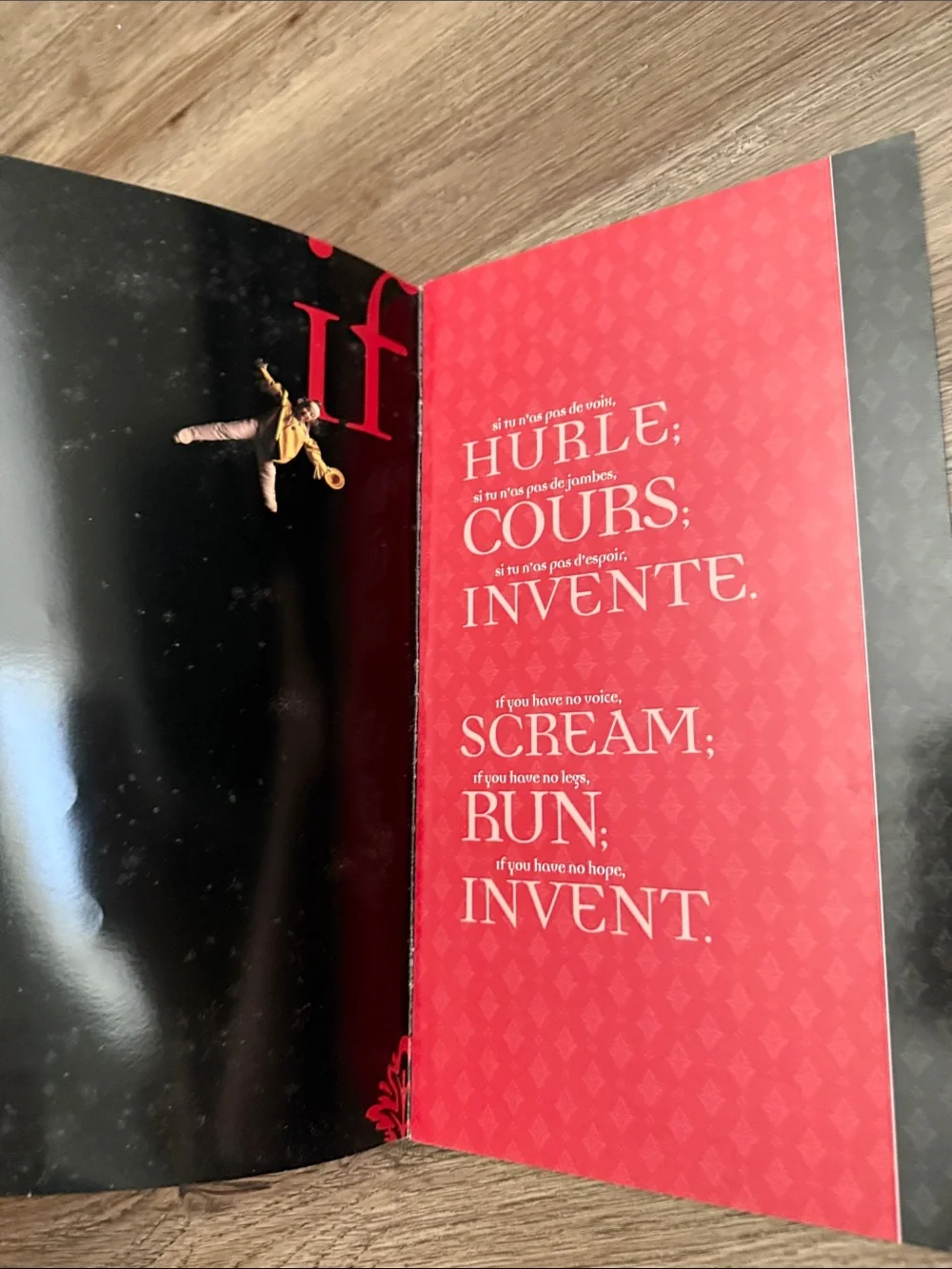 Vintage Cirque du Soleil ALEGRÍA Official Tour Program Book (1994)